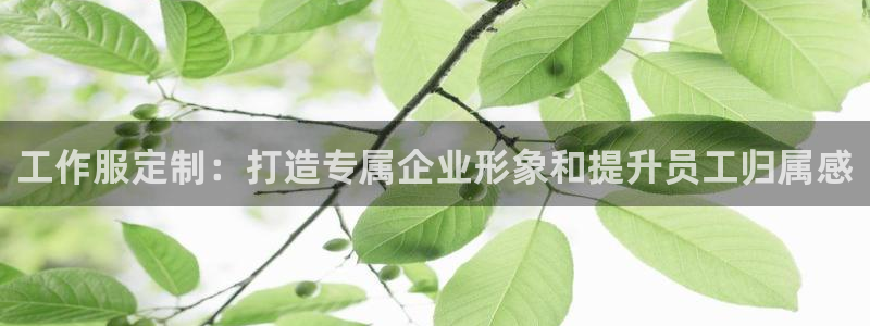 龙8国际唯一官方网站|工作服定制:打造专属企业形象和提升员工归属感
