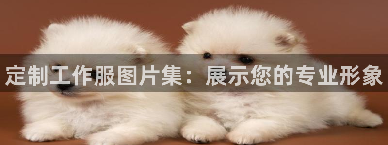 龙8国际唯一官方网站|定制工作服图片集：展示您的专业形象